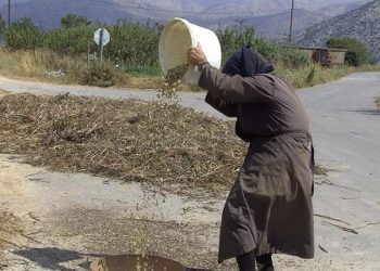 Κουκιά τα θαυματουργά: Προβλέπουν το γαμπρό, θεραπεύουν μυρμηγκιές!