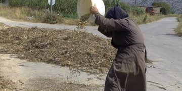 Κουκιά τα θαυματουργά: Προβλέπουν το γαμπρό, θεραπεύουν μυρμηγκιές!